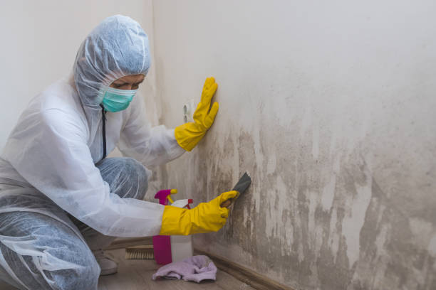 Best Industrial Mold Remediation in Dumfries, VA