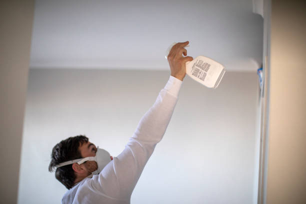 Best Mold Testing and Inspection Services in Dumfries, VA