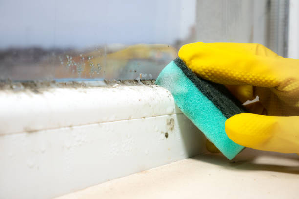 Dumfries, VA Mold Remediation Company