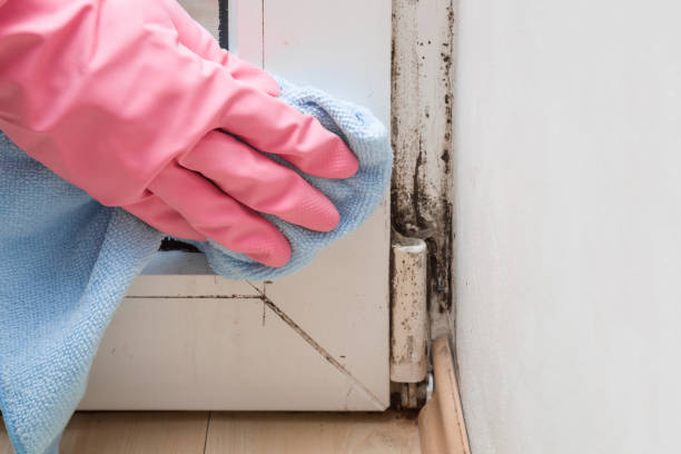Dumfries, VA Mold Remediation Company